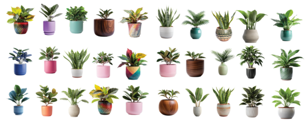 collection of all varieties of ornamental plants, including tropical species, for decorative indoor design. Peace Lily, Snake Plant, Pothos, Rubber Plant, Fiddle Leaf Fig, Aloe Vera, Philodendron, 
