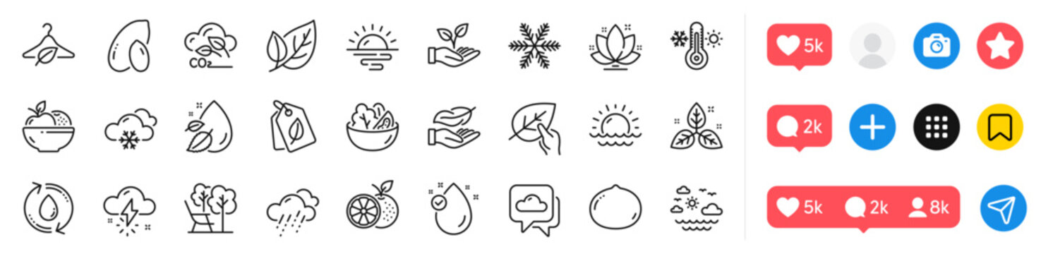 Orange, Slow fashion and Vitamin e line icons pack. For web app. Social media icons. Vector