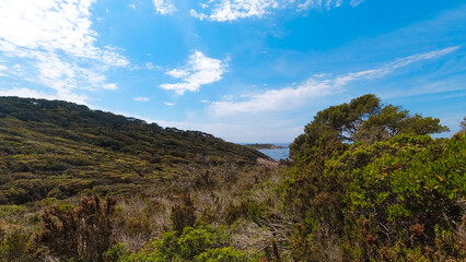 Landscapes, summer Mediterranean sea and beaches of the island of Porquerolles, in Hyères, in the Var in France