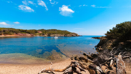 Landscapes, summer Mediterranean sea and beaches of the island of Porquerolles, in Hyères, in the Var in France