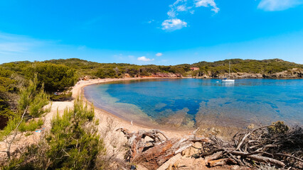 Fototapeta na wymiar Landscapes, summer Mediterranean sea and beaches of the island of Porquerolles, in Hyères, in the Var in France