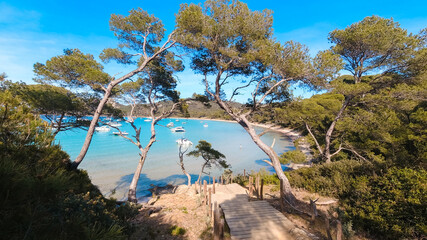 Landscapes, summer Mediterranean sea and beaches of the island of Porquerolles, in Hyères, in the...