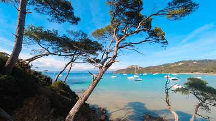 Landscapes, summer Mediterranean sea and beaches of the island of Porquerolles, in Hyères, in the...