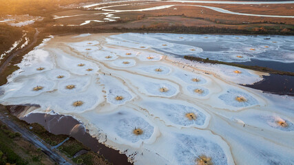 Aerial view of effluent discharge from a pulp and paper mill into a water body.