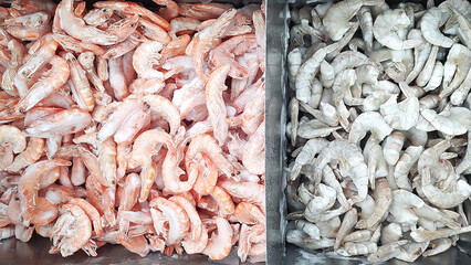 Species of frozen shrimps close up in a freezer
