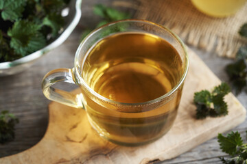 A cup of herbal tea with fresh nettle leaves harvested in early spring