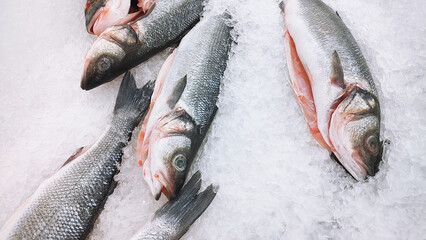 Fresh trout on ice in a supermarket.
