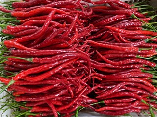 red hot chili peppers