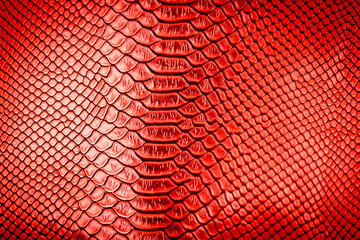 Red snake skin texture pattern can see the surface details.