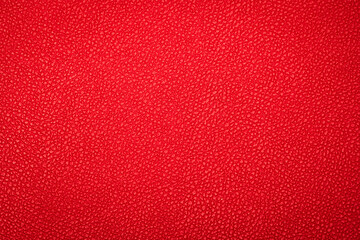Close-up of red leather show detail and texture