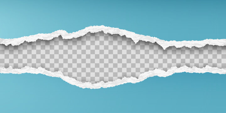 The edges of torn paper with a shadow. Vector illustration.