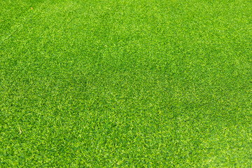 The top view of the grass garden is refreshing to look at. green grass texture background Ideas...