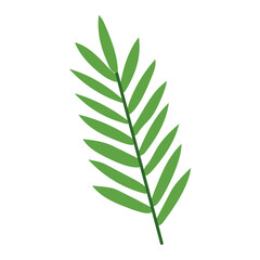 Tropical Leaf Element