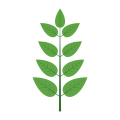 Tropical Leaf Element