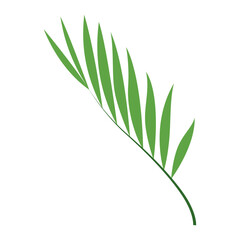 Tropical Leaf Element