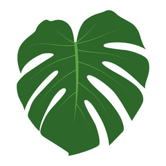 Tropical Leaf Element