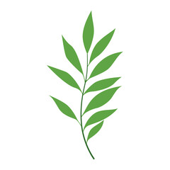 Tropical Leaf Element
