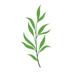 Tropical Leaf Element