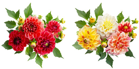 Obraz premium flowers bouquet made with Dahlias, isolated on transparent background