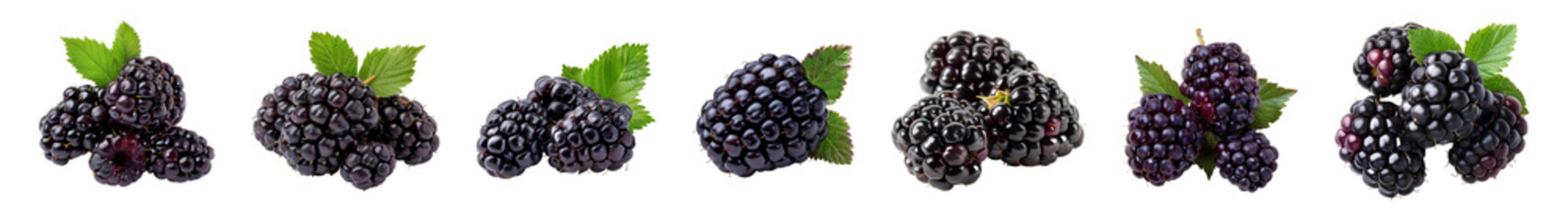 Set of blackberries PNG. Blackberry fruit set PNG. Blackberry fruit PNG. Blackberries isolated. Blackberry top view PNG. Blackberries flat lay PNG - obrazy, fototapety, plakaty