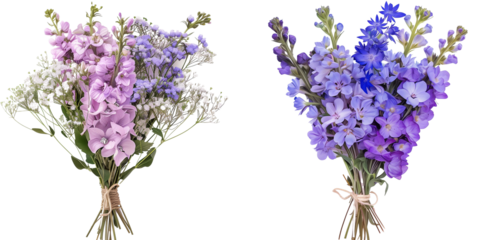 summer season flowers bouquet made with  Larkspur , isolated on transparent background