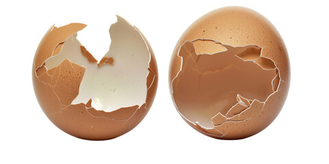 Set of fresh brown egg shell broken isolated on transparent background