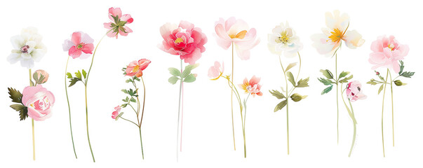 set of single stick flowers for wedding set isolated on transparent background - obrazy, fototapety, plakaty