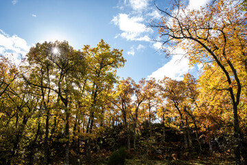 Tejeda de Tosande. Fuentes Carrionas Natural Park, Fuente Cobre- Palentina Mountain. Palencia,  Spain