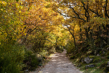 Fototapeta na wymiar Tejeda de Tosande. Fuentes Carrionas Natural Park, Fuente Cobre- Palentina Mountain. Palencia, Spain