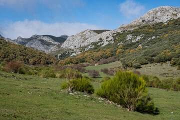 Fototapeta na wymiar Tosande valley. Fuentes Carrionas Natural Park, Fuente Cobre- Palentina Mountain. Palencia, Spain