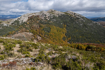 Fototapeta na wymiar Tejeda de Tosande. Fuentes Carrionas Natural Park, Fuente Cobre- Palentina Mountain. Palencia, Spain