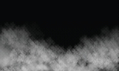 Fototapeta na wymiar Vector white fog or smoke on a transparent black background. Vector illustration Png. Special effect of smoke, fog, steam, fog.