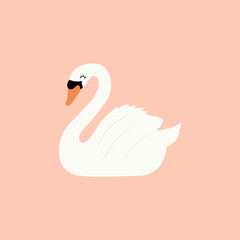 Fototapeta premium swan