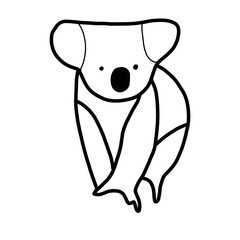 oceania natural animal koala 