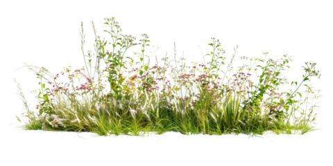 a bush made with grass and wildflowers isolated on transparent background