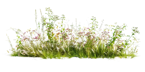 Foto op Aluminium a bush made with grass and wildflowers isolated on transparent background © MDNANNU