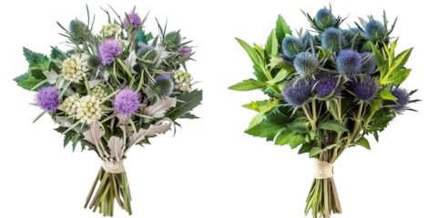set of bouquet made with Sea Holly flowers, isolated on transparent background