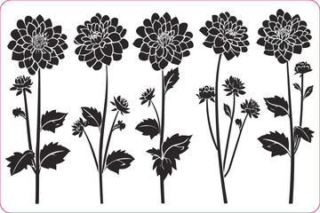 Silhouettes of Dahlia flower, Dahlia flower vector silhouettes