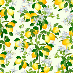 Lemon branches with flowers.Lemon branches with fruits and flowers in a colored seamless pattern.