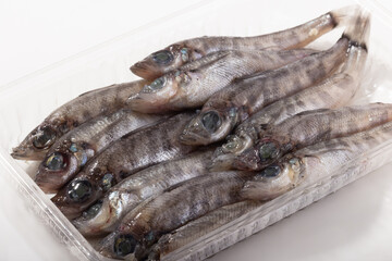 ［宮城県産］メヒカリ