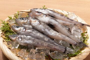 ［宮城県産］メヒカリ