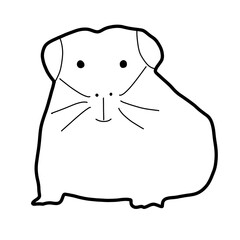 pet animal feeding guinea pig