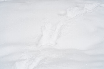 Close-up of ski marks in the snow. Background on the theme of sports and a healthy lifestyle in...