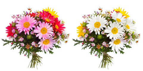 bouquet of Daisies, isolated on transparent background
