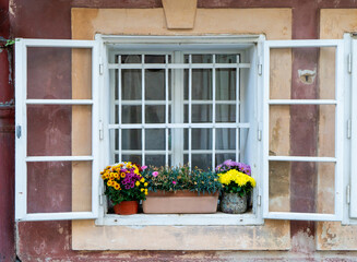 Flowerpot with flowers on a window of a brick building
