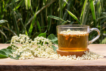 beverage from elderberry flowers in a cup on a natural background with a sprig of flowering...