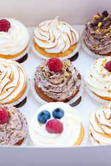 Assorted cupcakes in gift box with chocolate, vanilla and oreo cream, whipped meringue, raspberry, blueberry and bites of chocolate