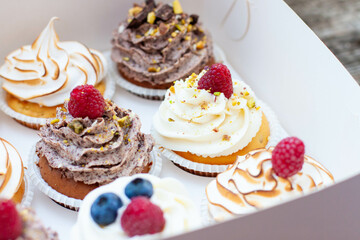 Assorted cupcakes in gift box with chocolate, vanilla and oreo cream, whipped meringue, raspberry, blueberry and bites of chocolate