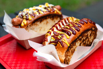 a snack in the park. Two delicious hot dogs from the food truck. delicious toasted slices of bread and sausage flavored with ketchup and mustard