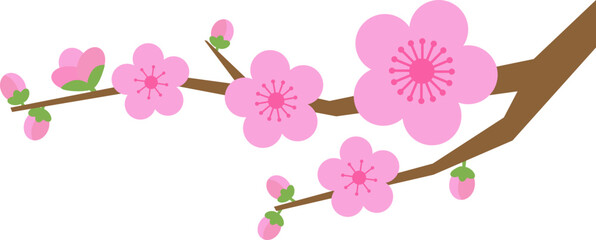 cherry blossom illustration, 벚꽃 일러스트